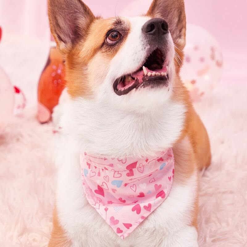 

Heart Print Pet Bandana, Pink