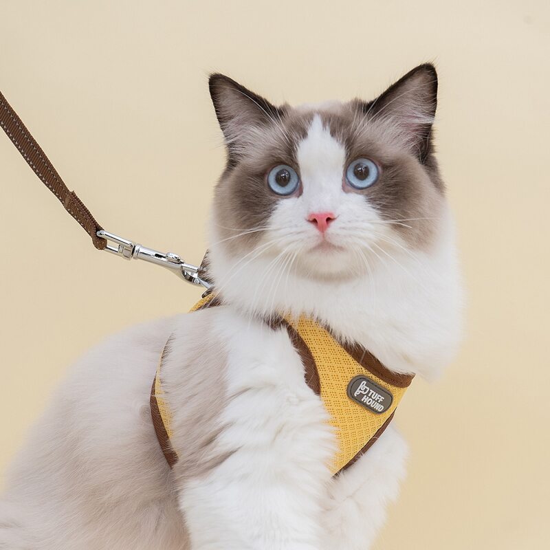 

1pc Breathable Pet Harness & 1pc Pet Leash, Yellow