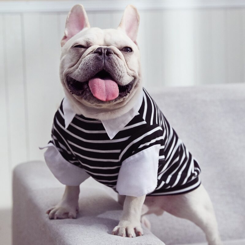 

Striped Pattern Pet Tee, Black and white