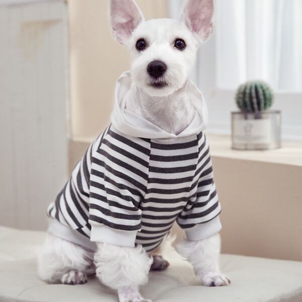

Striped Pattern Pet Hoodie, Black and white
