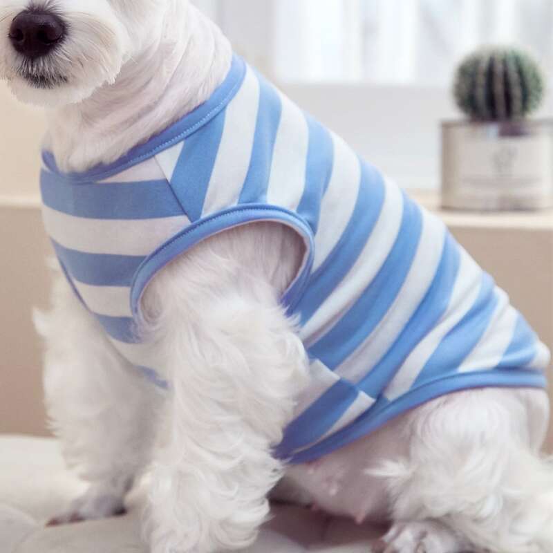 

Striped Pattern Pet Tank, Blue and white