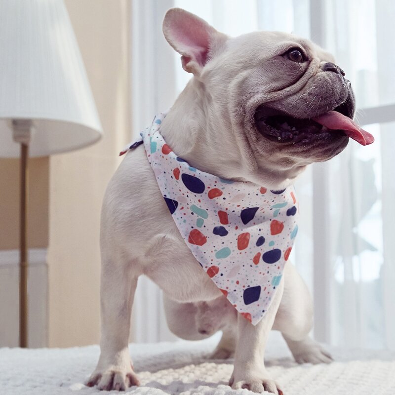 

1pc Graphic Print Pet Bandana, Multicolor