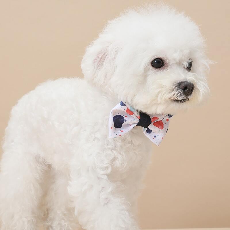 

Graphic Print Pet Bow, Multicolor