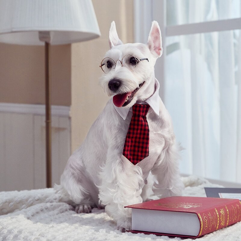 

Gingham Pattern Pet Tie, Multicolor