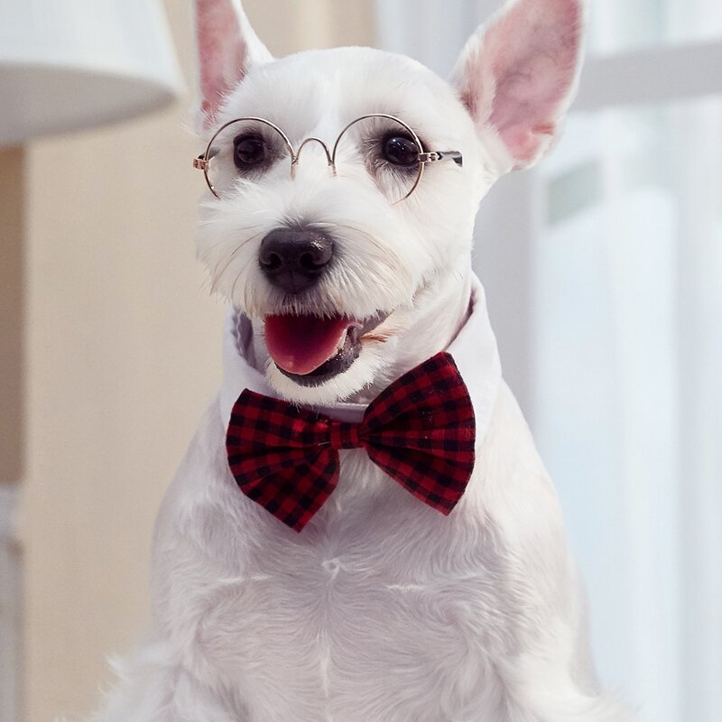 

Gingham Pattern Pet Bow, Multicolor
