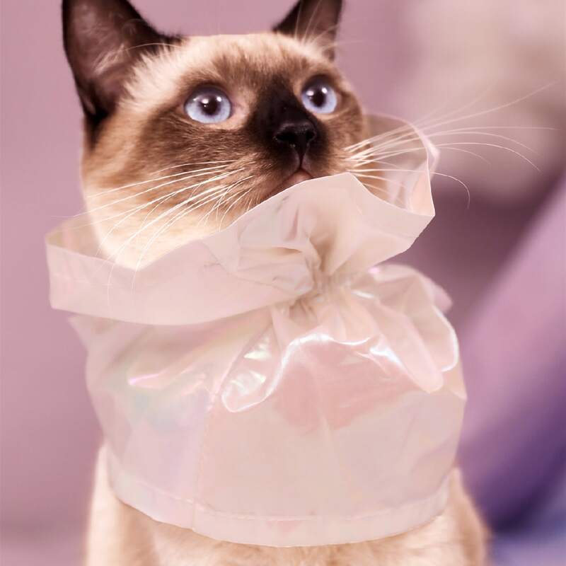 

1pc Plain Pet Scarf, White