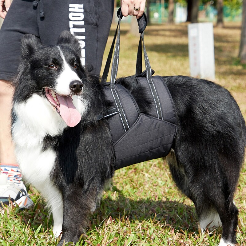 

1pc Pet Walking Auxiliary Harness, Black