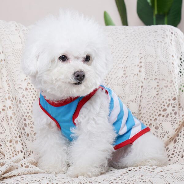 

Striped Pattern Pet Tank Top, Multicolor