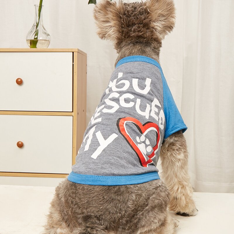 

Slogan Graphic Pet Tee, Multicolor
