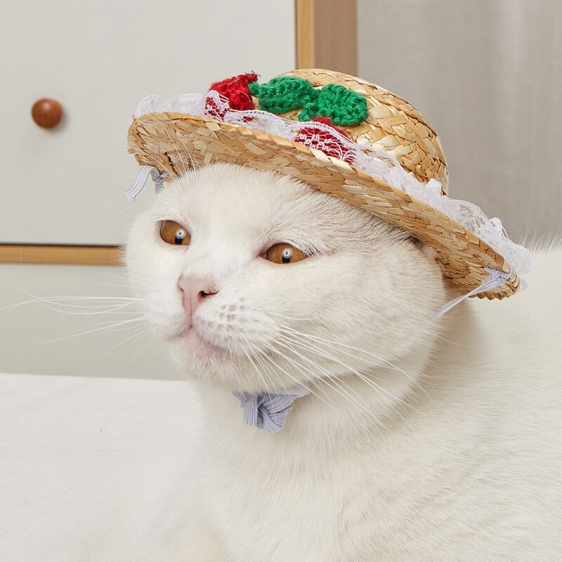 

Cherry Decor Pet Straw Hat, Khaki