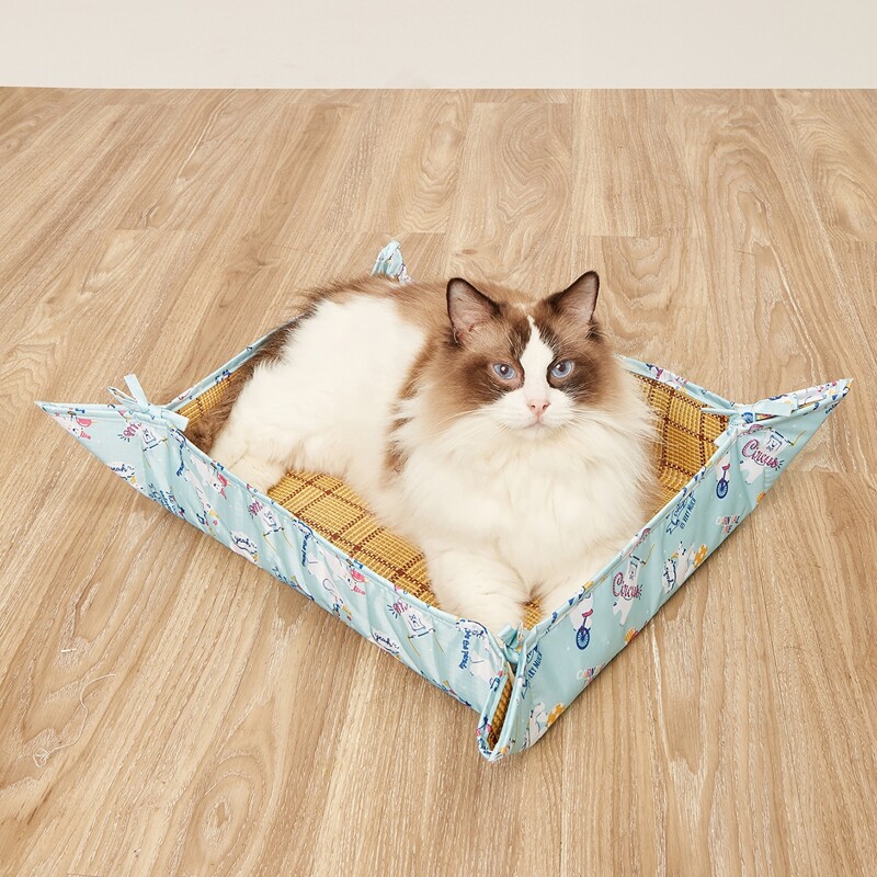 

1pc Cartoon Graphic Pet Bed, Baby blue