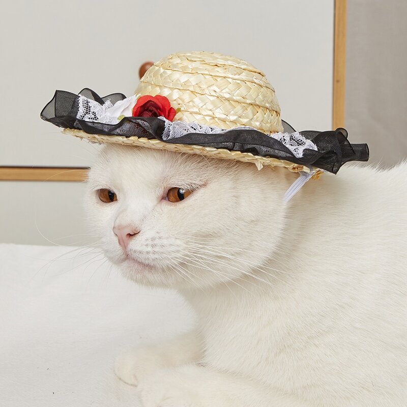 

Rose Decor Lace Pet Straw Hat, Black