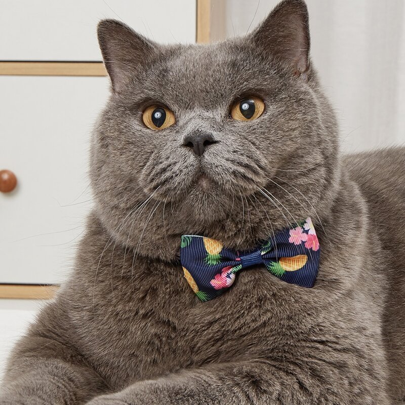 

Pineapple Print Pet Bow, Navy blue