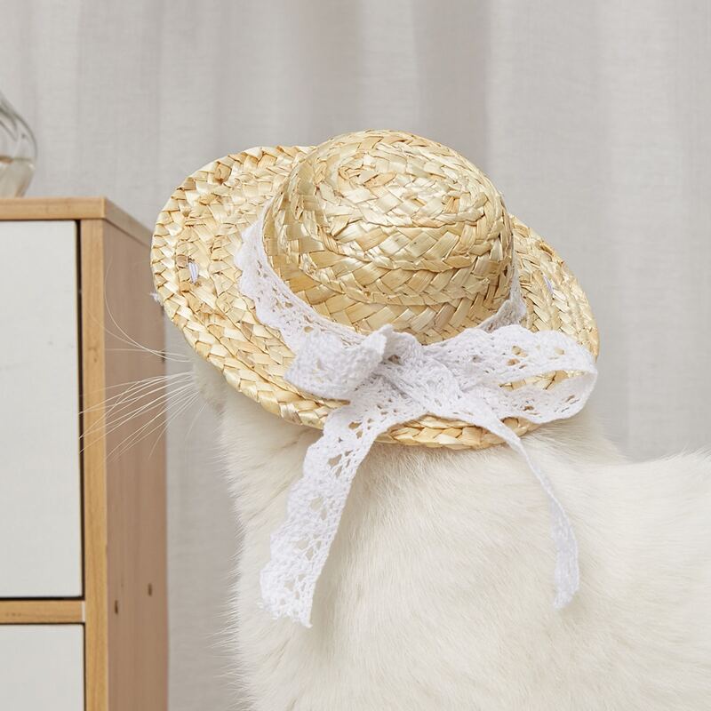 

Lace Bow Pet Straw Hat, White