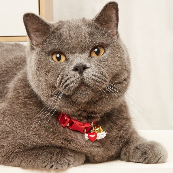 

Heart Pendant Bell Pet Necklace, Red