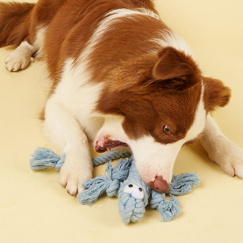 

Rope Lizard Design Pet Chew Toy, Baby blue