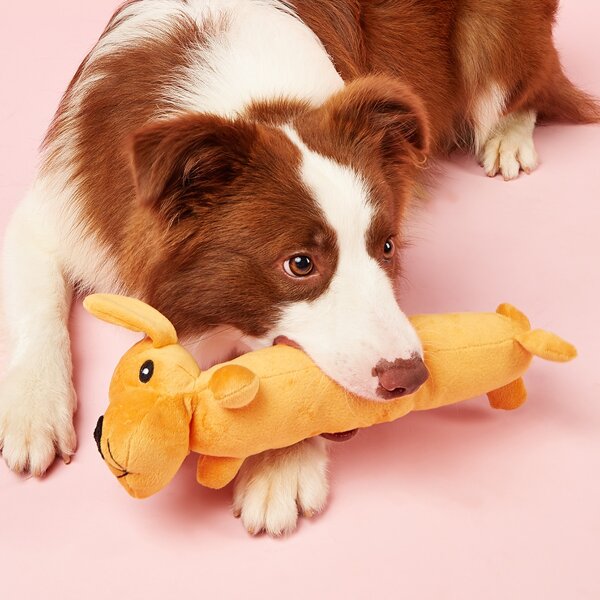 

Dog Shaped Pet Plush Toy, Orange