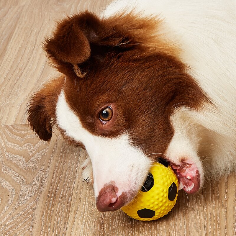 

1pc Football Shaped Pet Sound Toy, Yellow