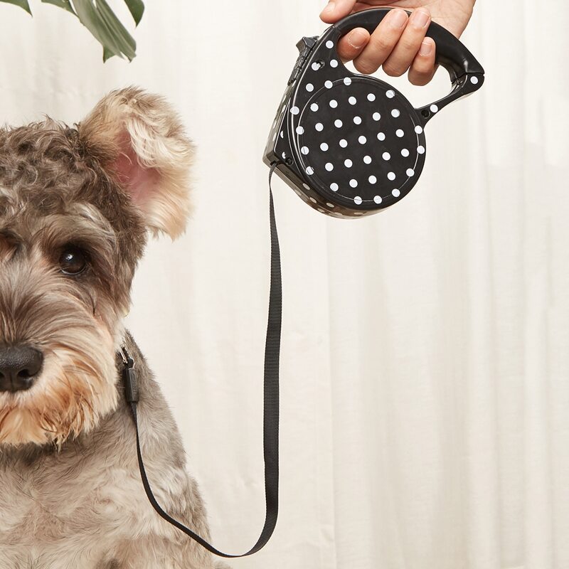

1pc Polka Dot Pattern Pet Leash, Black