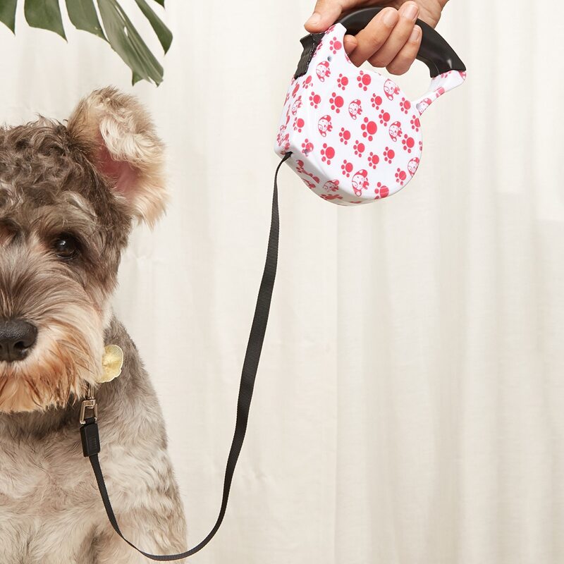 

1pc Cartoon Graphic Pet Leash, Red