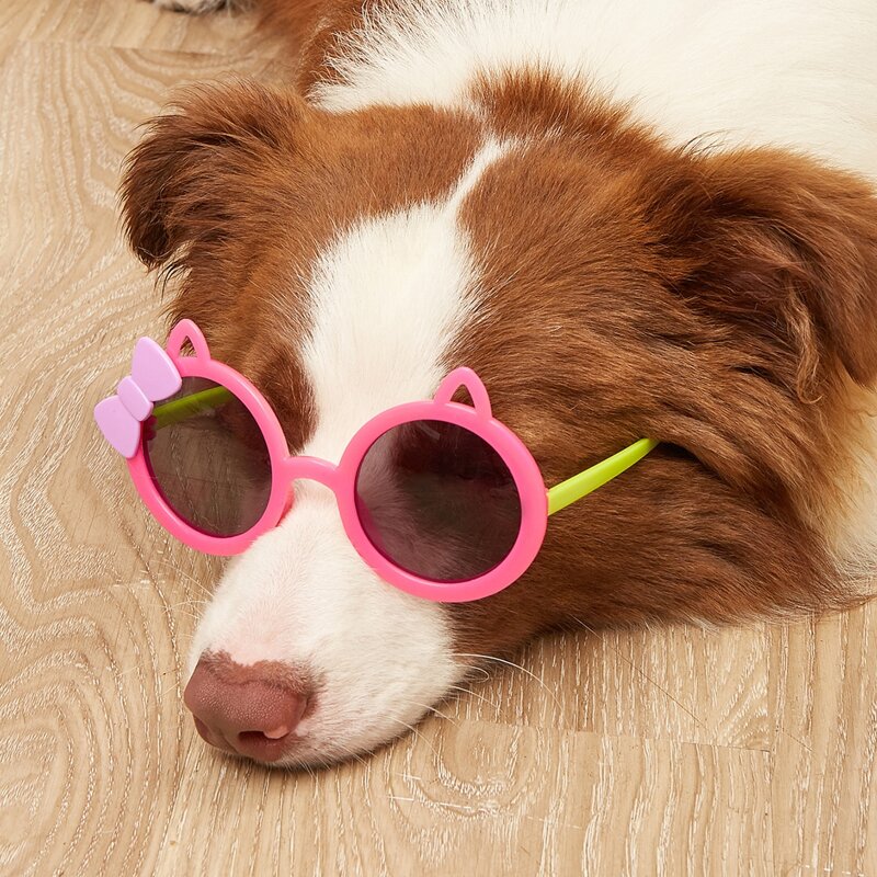 

1pair Bow Detail Pet Glasses, Pink