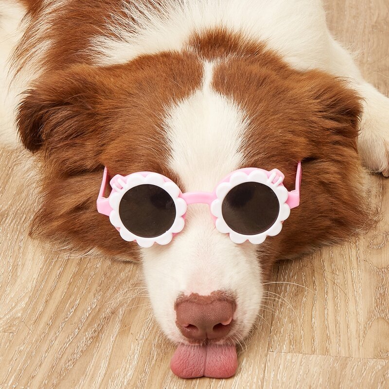 

1pair Flower Shaped Flip Pet Glasses, Pink