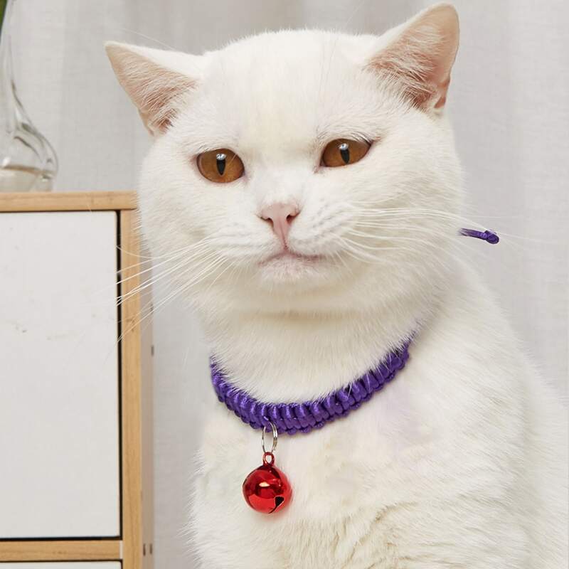 

Bell Pendant Pet Necklace, Purple