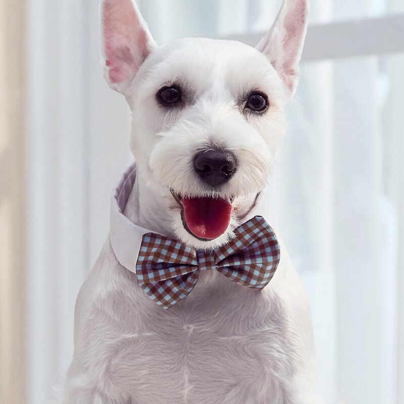 

Gingham Pattern Pet Bow, Multicolor