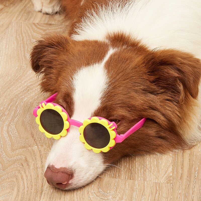 

1pair Flower Shaped Flip Pet Glasses, Multicolor