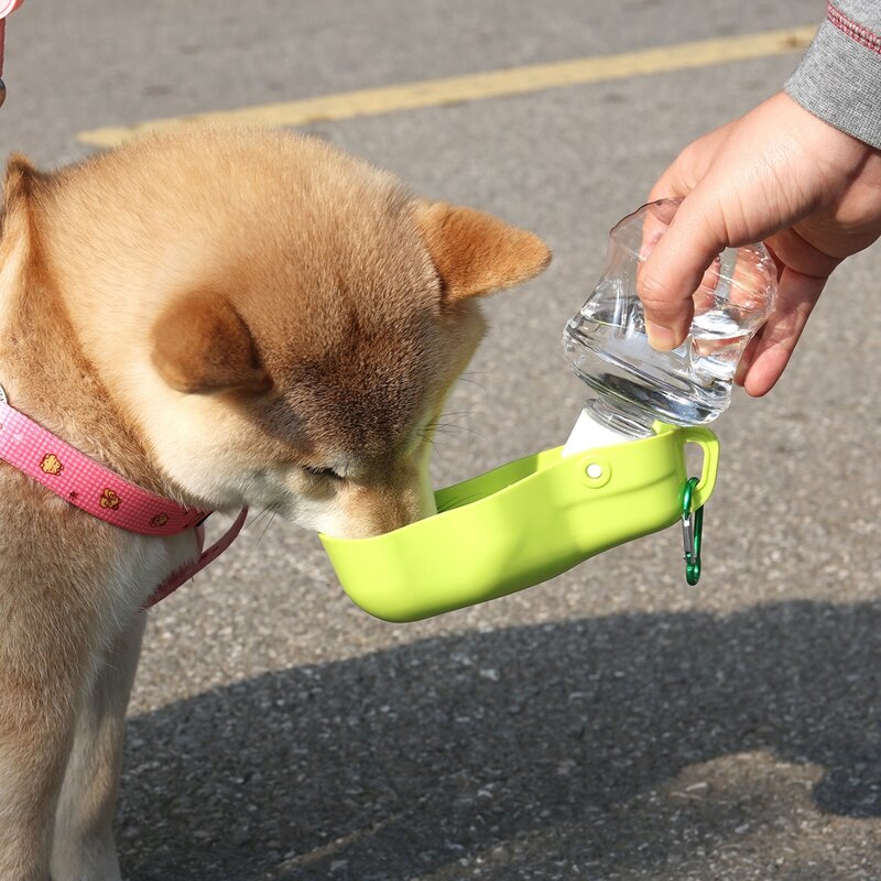 

1pc Portable Pet Water Bottle, Green