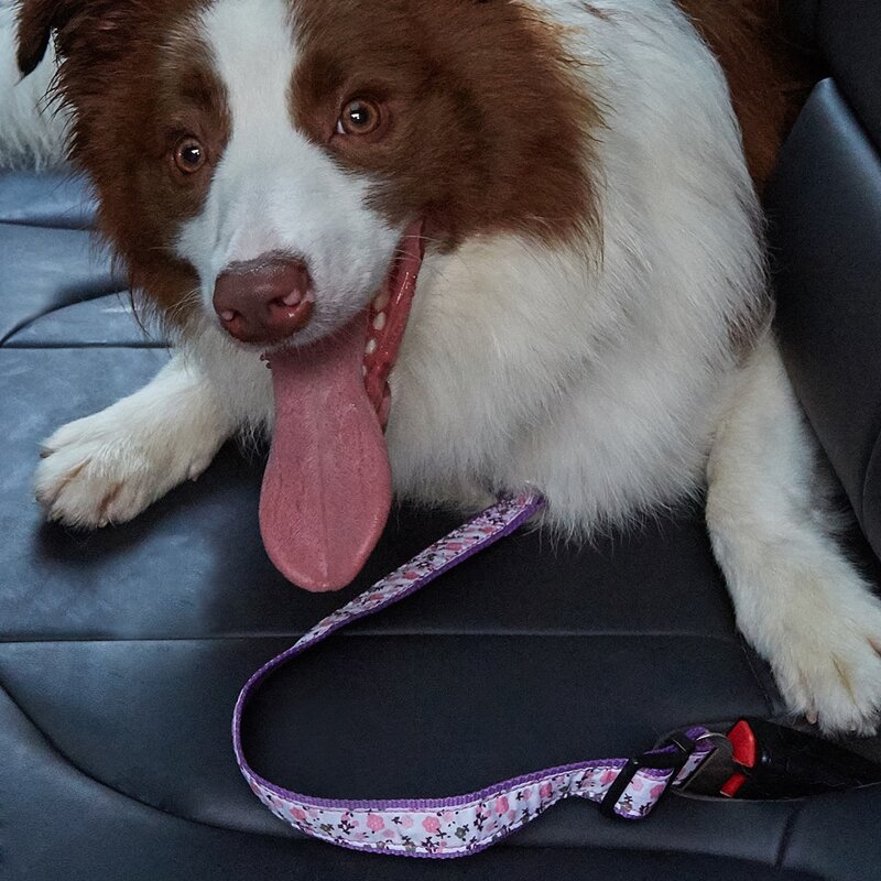 

1pc Flower Print Pet Car Safety Belt, Multicolor