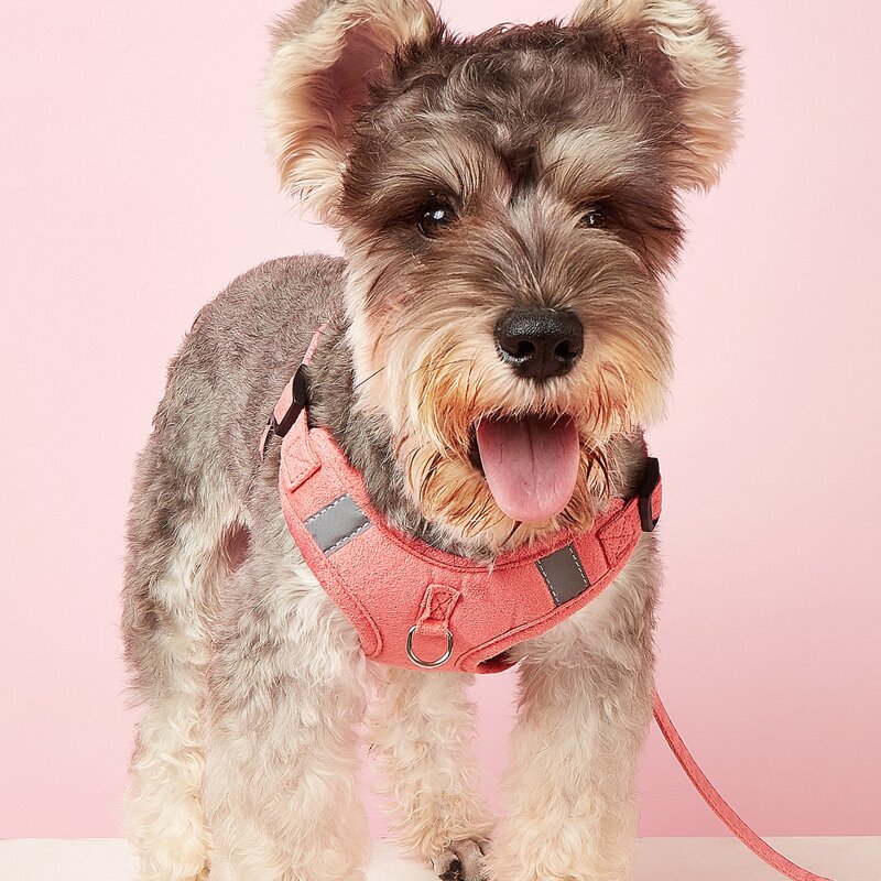 

1pc Plain Pet Harness & 1pc Pet Leash, Pink