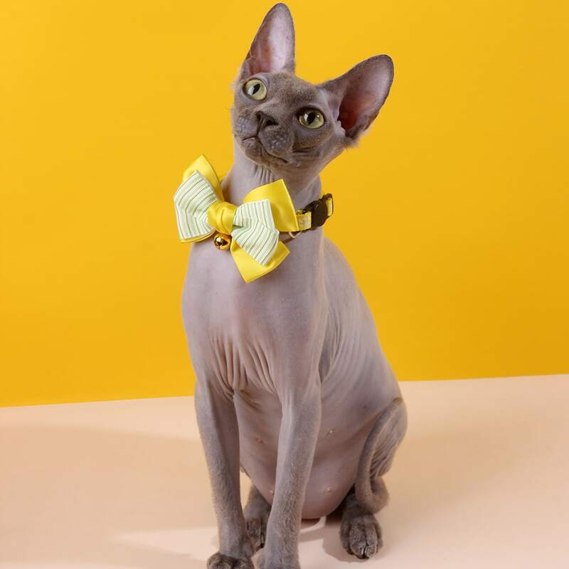 

1pc Bow Decor Pet Collar, Yellow