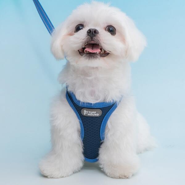 

1pc Breathable Pet Harness & 1pc Leash, Blue