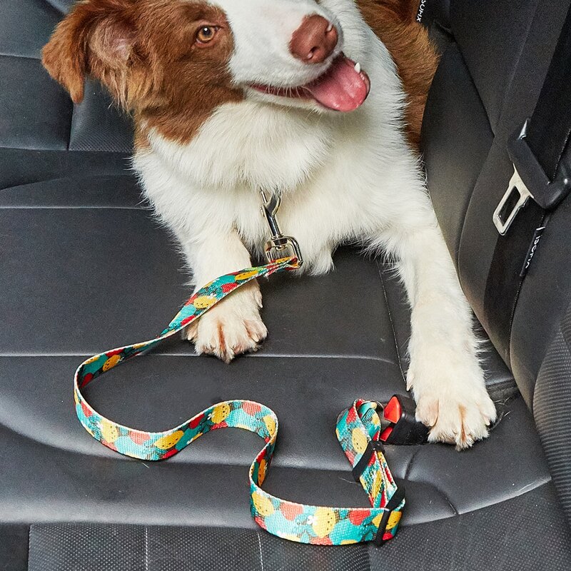 

Banana Print Pet Seat Belt, Multicolor