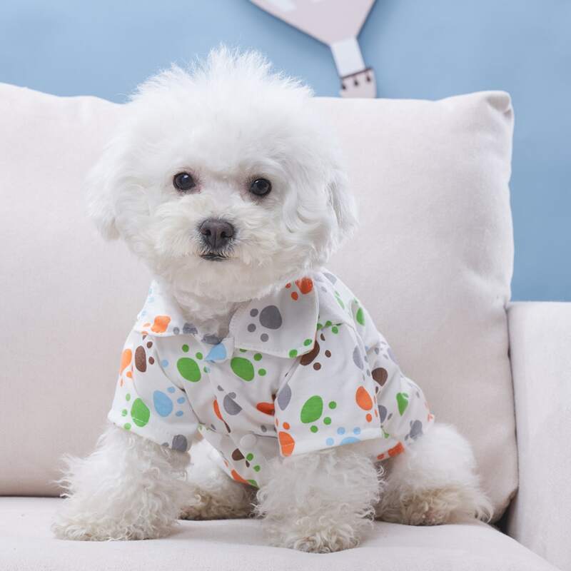 

Paw Print Pet Shirt, Multicolor
