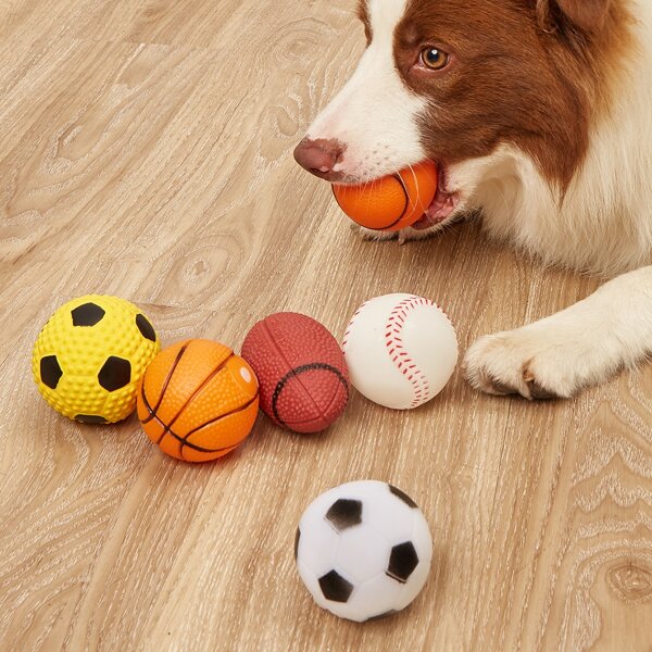 

5pcs Pet Sound Toy Ball Set, Multicolor