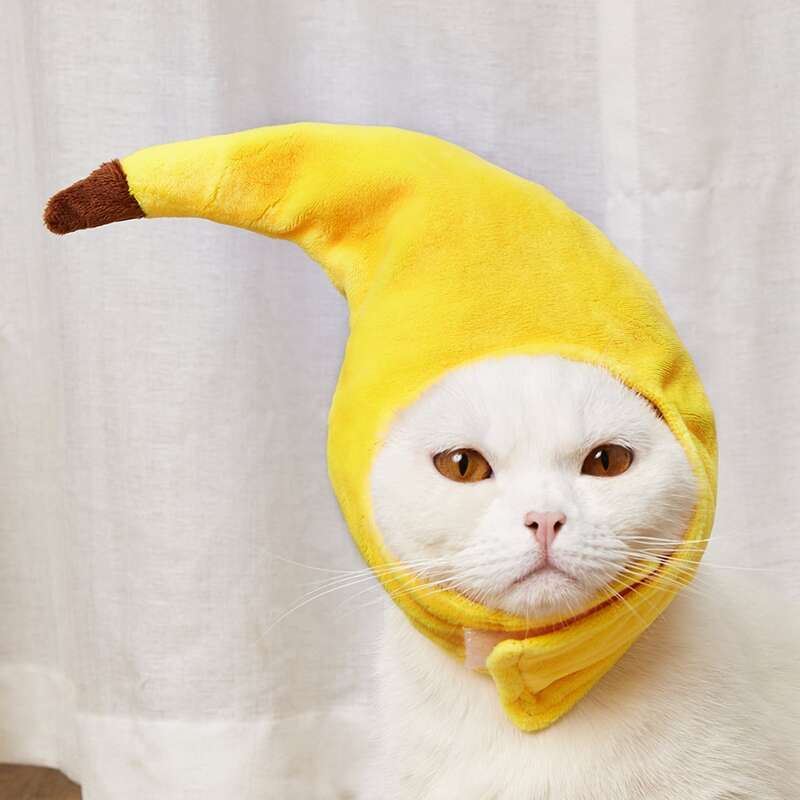 

Banana Shaped Pet Headwear, Yellow