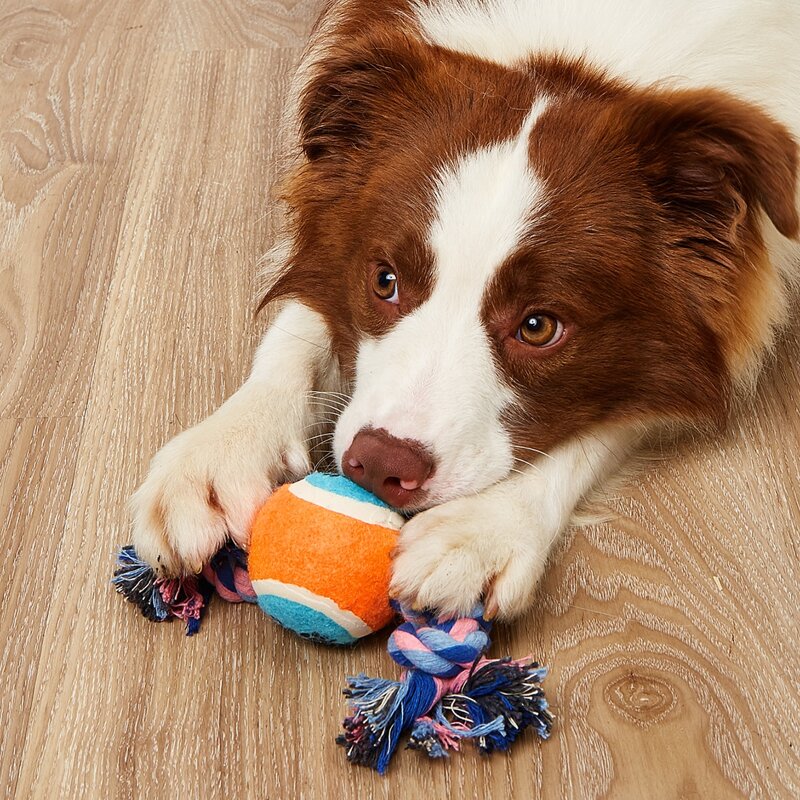 

Rope Ball Pet Chew Toy, Multicolor