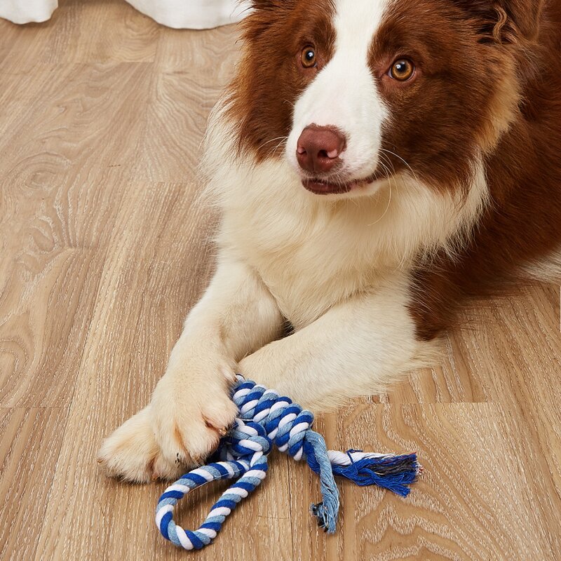 

Rope Knot Pet Chew Toy, Navy blue