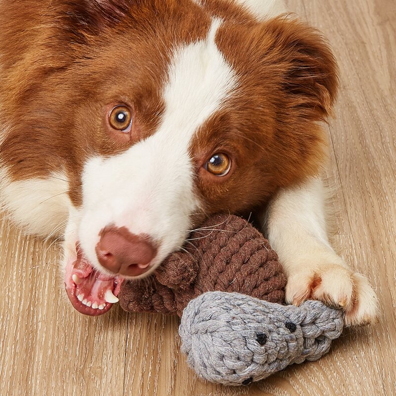 

Rope Animal Design Pet Chew Toy, Grey