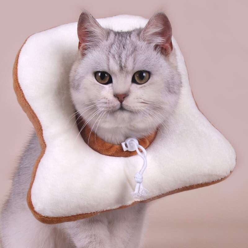 

1pc Toast Shaped Pet Elizabeth Collar, White