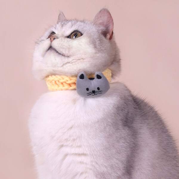 

1pc Cartoon Design Pet Necklace, Multicolor