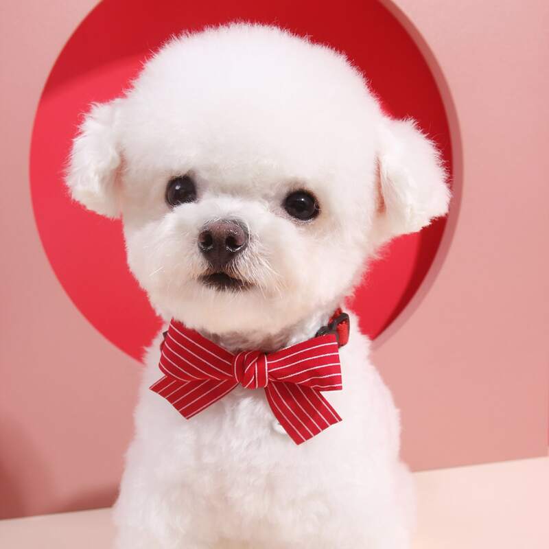 

Striped Pattern Bow Pet Collar, Red