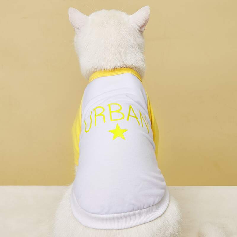 

Letter Graphic Pet Tee, Multicolor