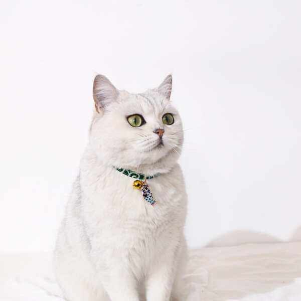 

1pc Fish Pendant Pet Necklace, Multicolor