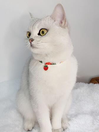 1pc Strawberry Pendant Pet Necklace