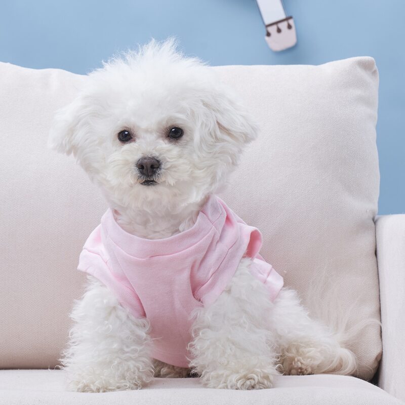 

Cartoon Graphic Pet Tee, Pink