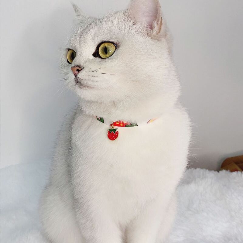 

1pc Strawberry Pendant Pet Necklace, Multicolor
