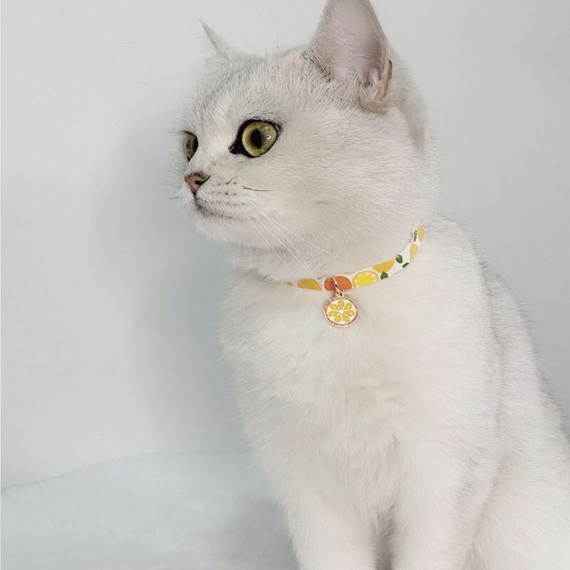 

1pc Orange Pendant Pet Necklace, Multicolor